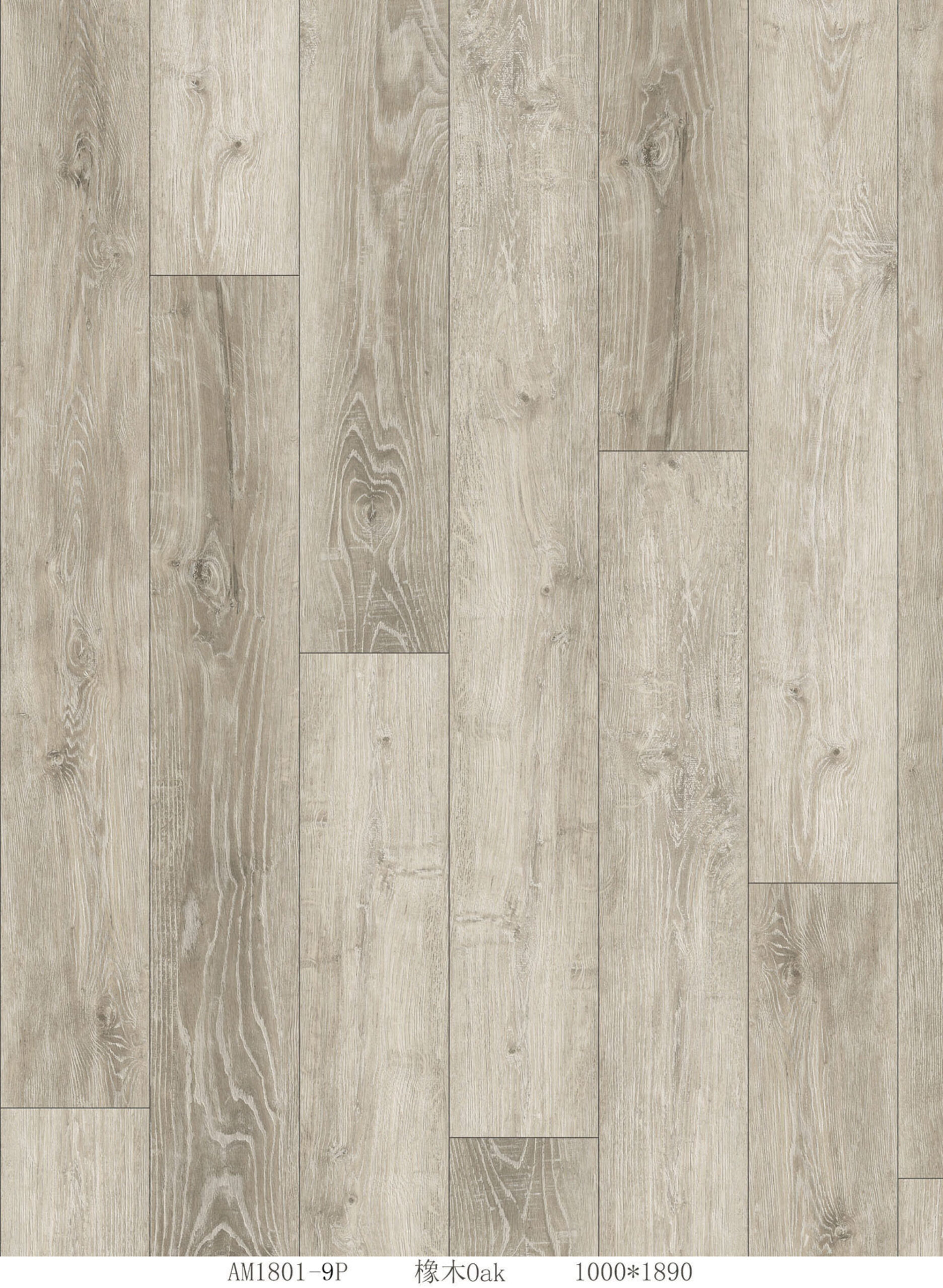 Sunlit Ivory Oak