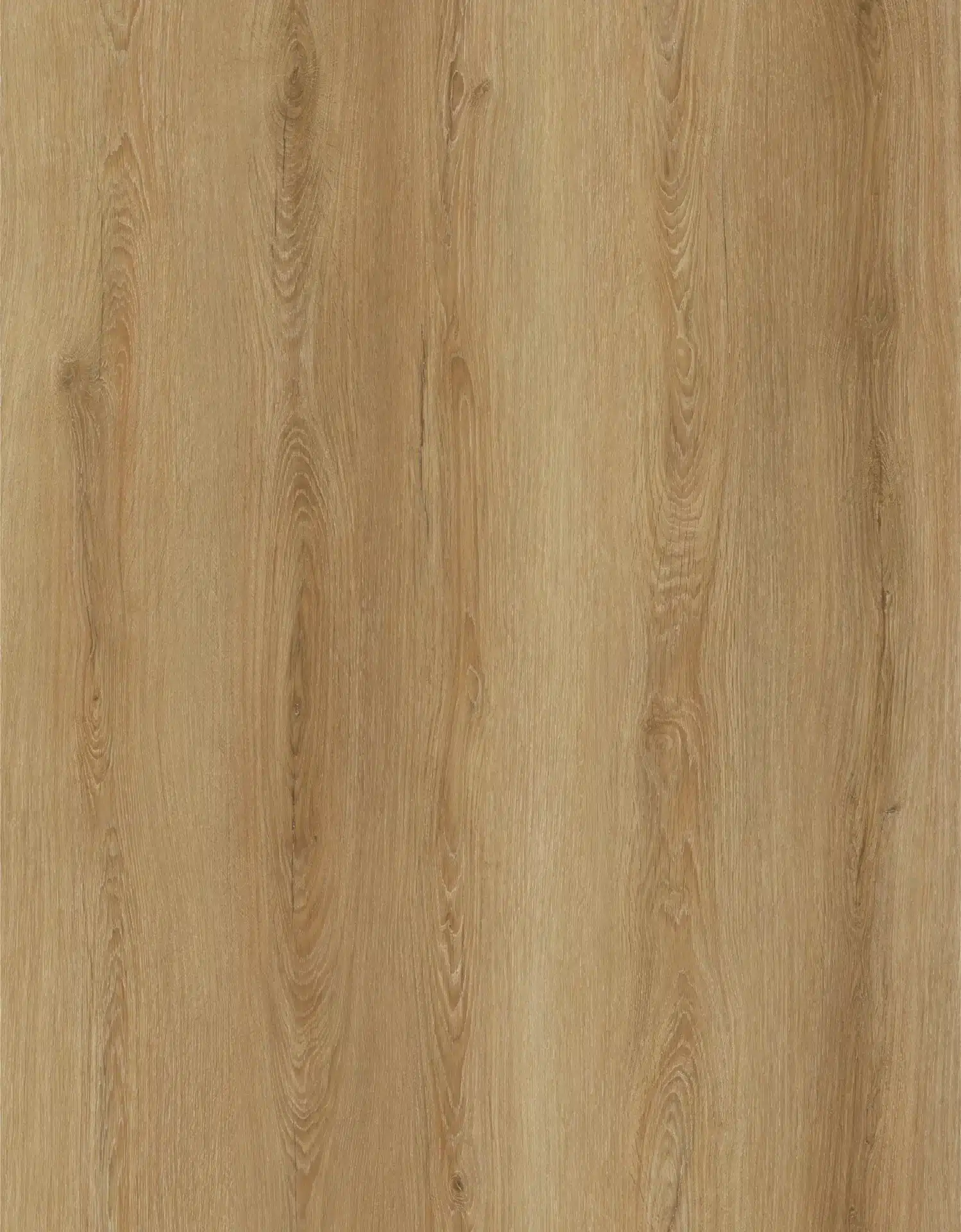 Morning Glory Flooring East Tamaki, Auckland NZ Morning Glory Flooring