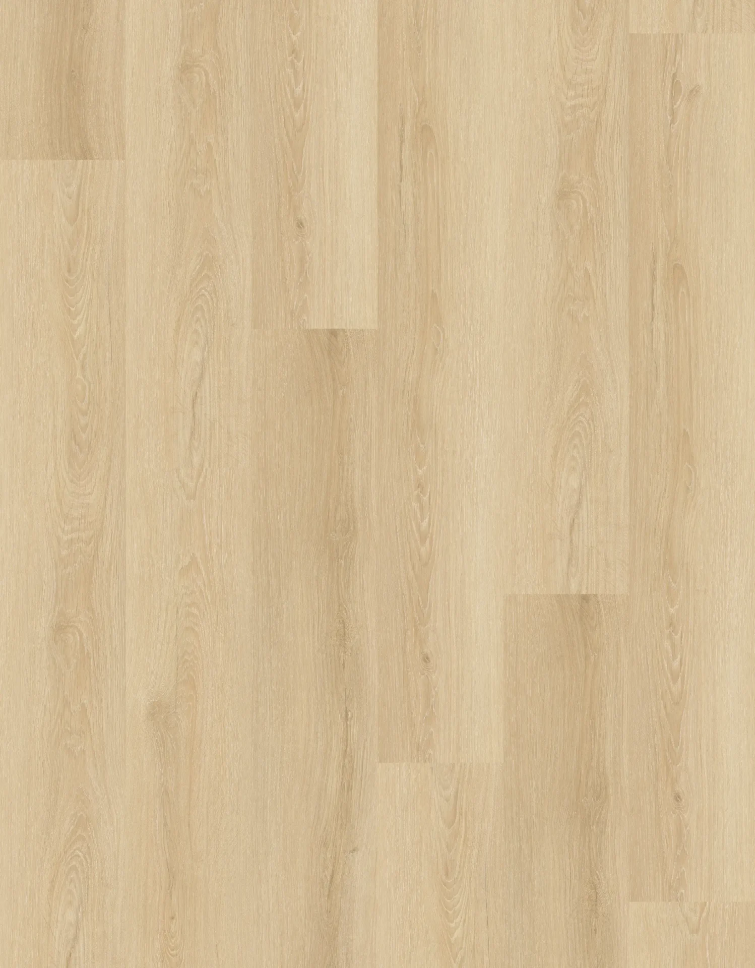 Alpine Spotted Gum