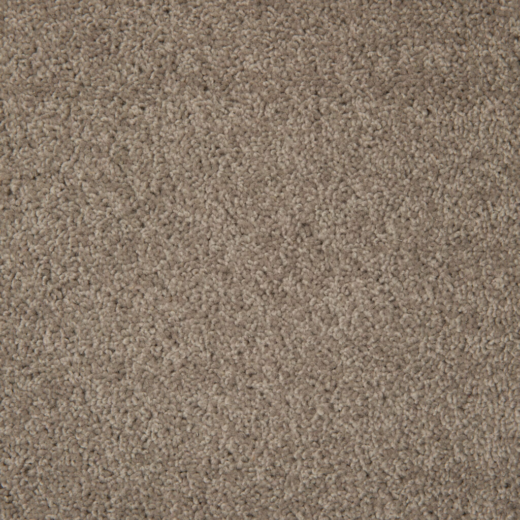 Buy Shannon Carpets in Auckland