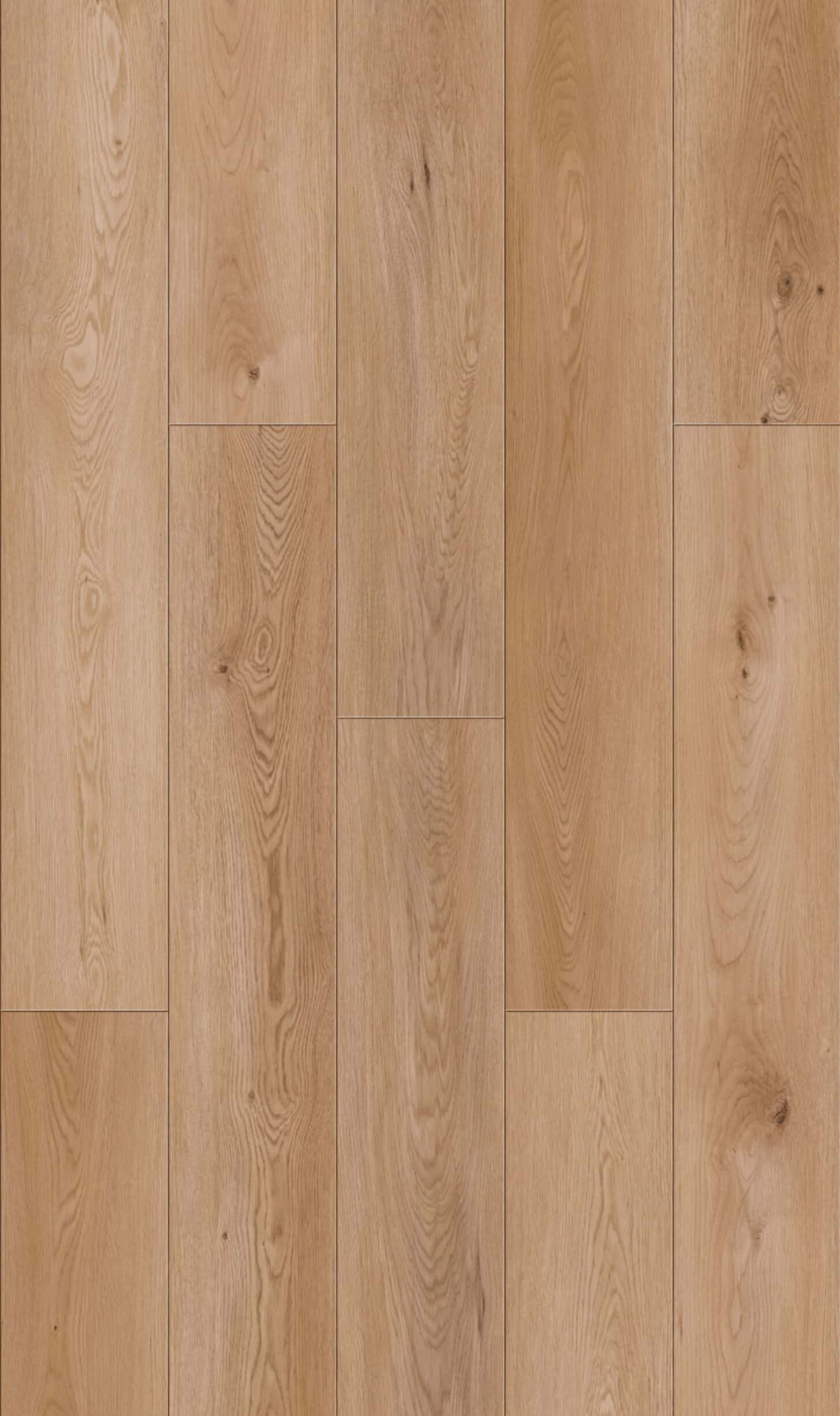 Honey Maple Oak