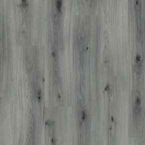 Misty Oak