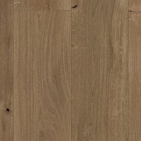 Seashell Oak