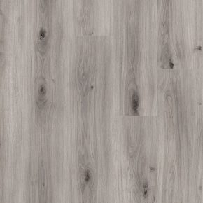 Misty Oak