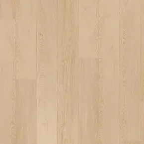 Refined Modern Oak