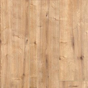 Taylor Oak