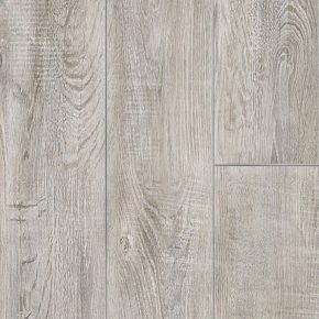 Sandstorm Oak